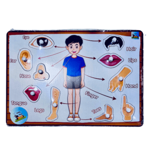 WoodyBugz Body Parts Puzzle